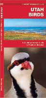 Utah Birds: A Folding Pocket Guide to Familiar Species