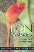 Lion Tamarins