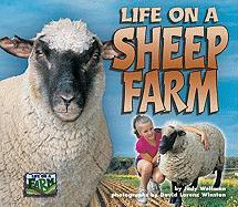 Life on a Sheep Farm