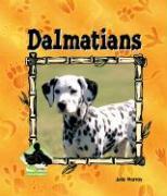 Dalmations