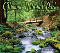 Olympic National Park Impressions