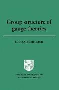 Group Structure of Gauge Theories