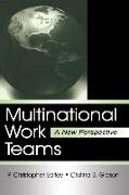 Multinational Work Teams