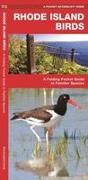 Rhode Island Birds: A Folding Pocket Guide to Familiar Species