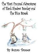 The Most Unusual Adventures of Black Shadow Smokey and the Blue Streak