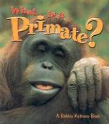 What is a Primate?