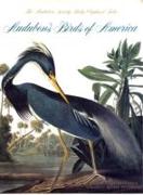 Audubon's Birds of America: the Audubon Society Baby Elephant Folio *firm Sale*