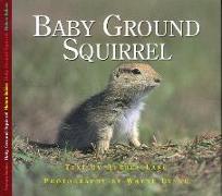 Baby Ground Squirrel