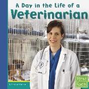 A Day in the Life of a Veterinarian